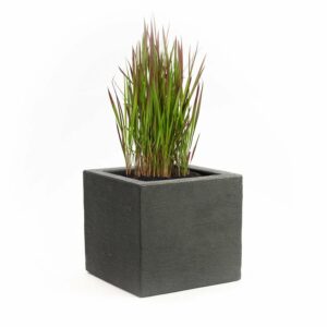 Pflanzwerk® Pflanzkübel Kunststoff Cube 42 cm x 50 cm x 50 cm Anthrazit