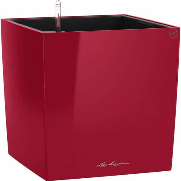 Lechuza Pflanzgefäß Cube Premium 30 cm x 30 cm Scarlet Rot hochglanz