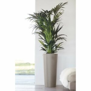 Ecopots Pflanztopf Amsterdam hoch Braungrau 70 cm