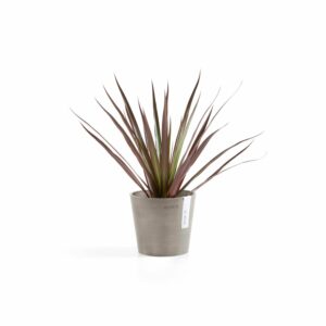 Ecopots Pflanztopf Amsterdam Mini Taupe 13 cm x 11