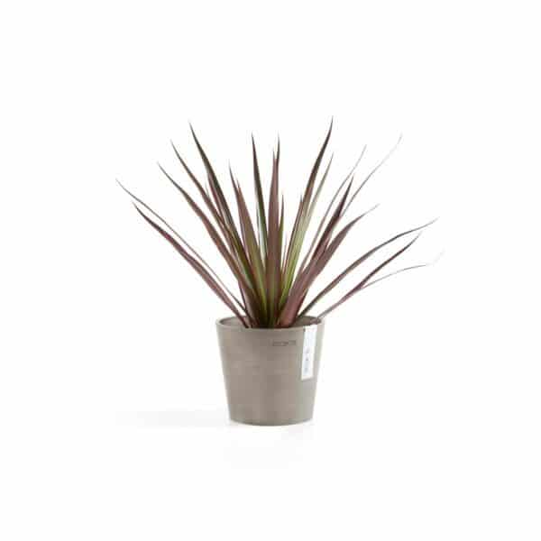 Ecopots Pflanztopf Amsterdam Mini Taupe 13 cm x 11