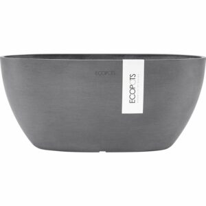 Ecopots Pflanzschale Sofia 30 cm x 13 cm Oval Grau