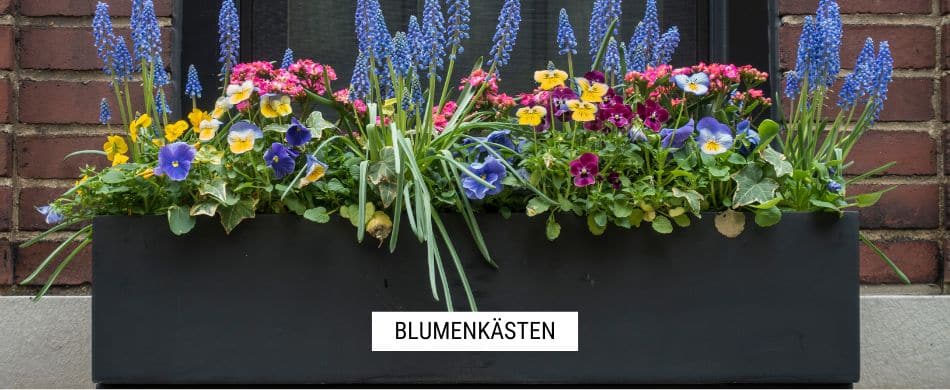 Blumenkästen Kategorie Startseite